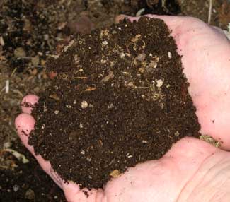 worm compost
