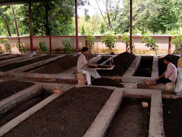 Vermicomposting